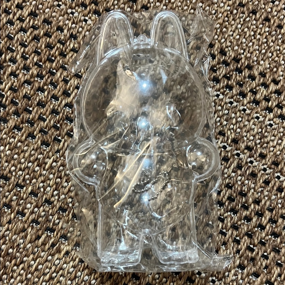 Clear Acrylic Labubu Case